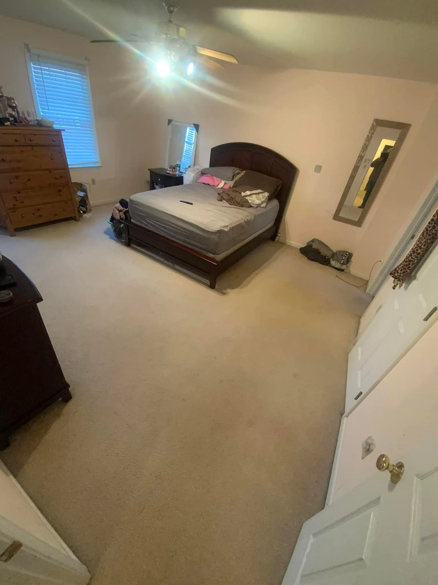Primary bedroom before the refresh — beige carpet and pale walls